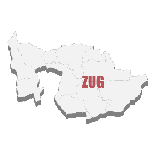 Discover the Hottest IT Jobs in Switzerland